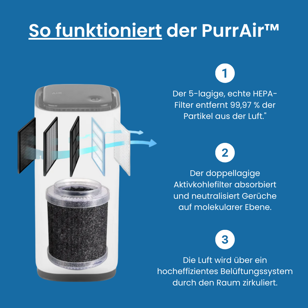 PurrAir™ - Eliminiere Katzengerüche auf Autopilot