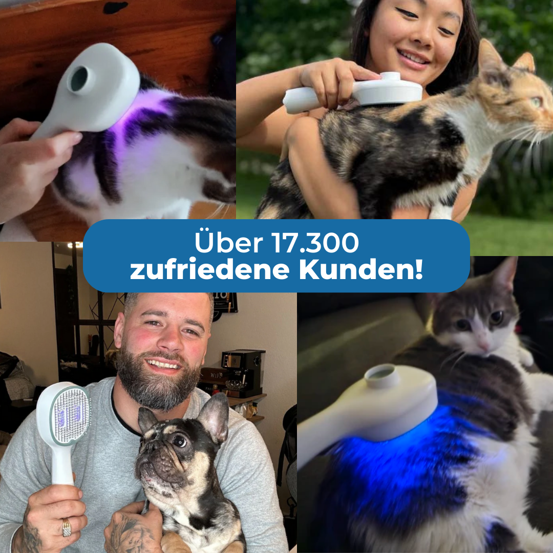 LuxBrush™ UV Tierpflegebürste